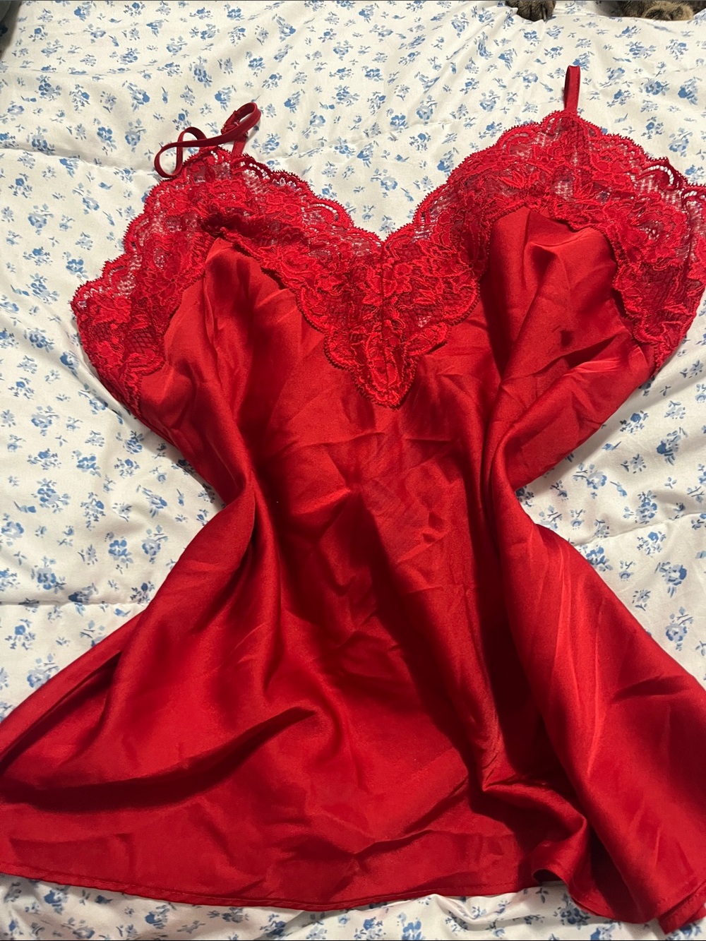 La Vie En Rose Red Lace Satin Chemise